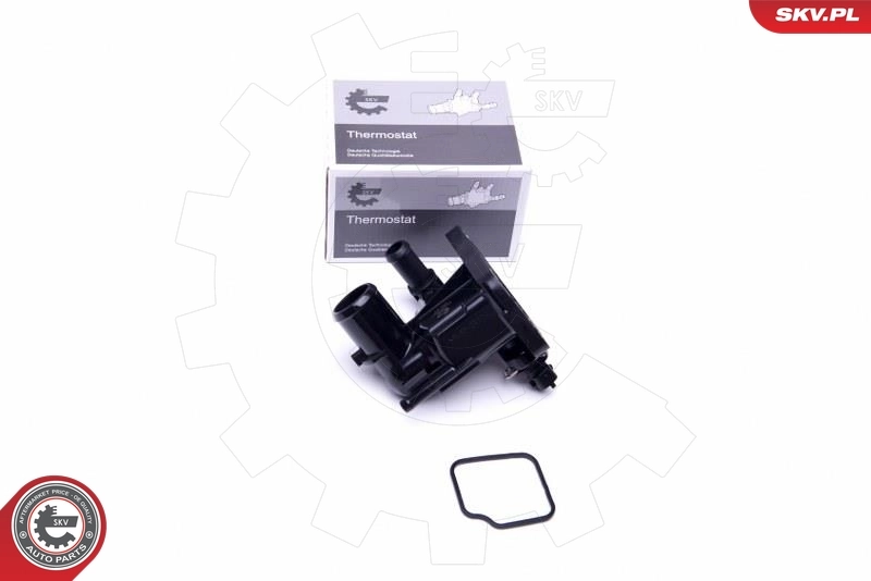 Thermostat, coolant